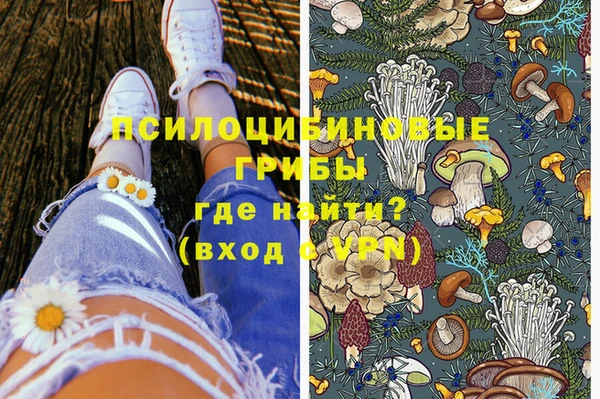 круглые Осинники