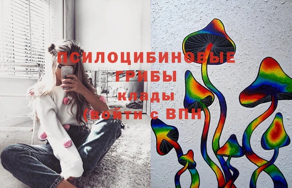 круглые Осинники