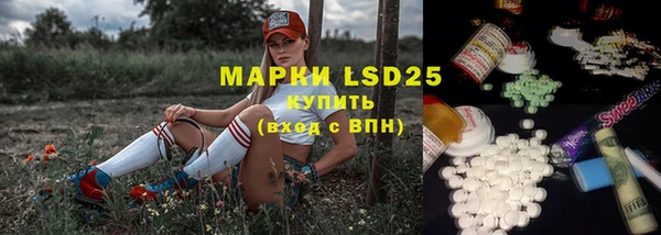 круглые Осинники