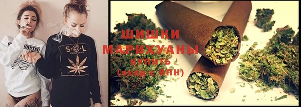 apvp Осташков